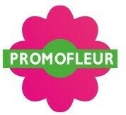 logo Promofleur
