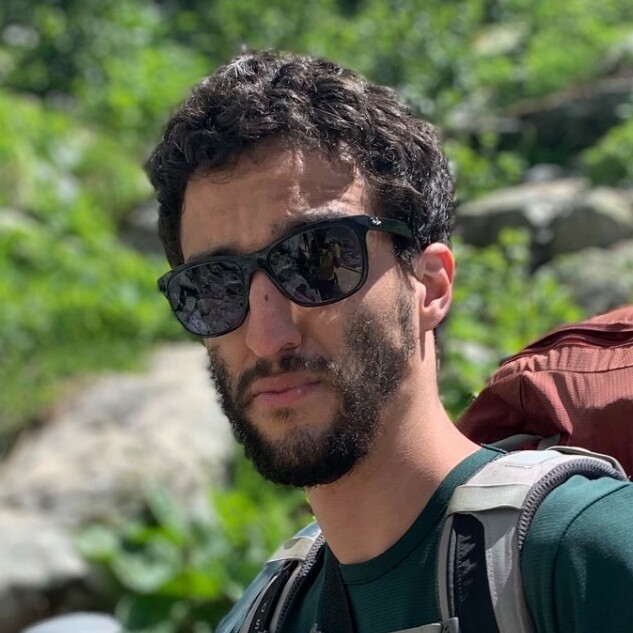 avatar Hamza